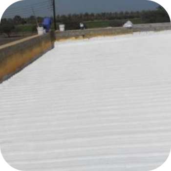 خدمات عزل الشينكو